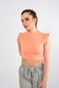 Imagen de CROP TOP CUELLO ALTO MANGA VOLADO