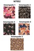 Imagen de VESTIDO  ESTAMPADO